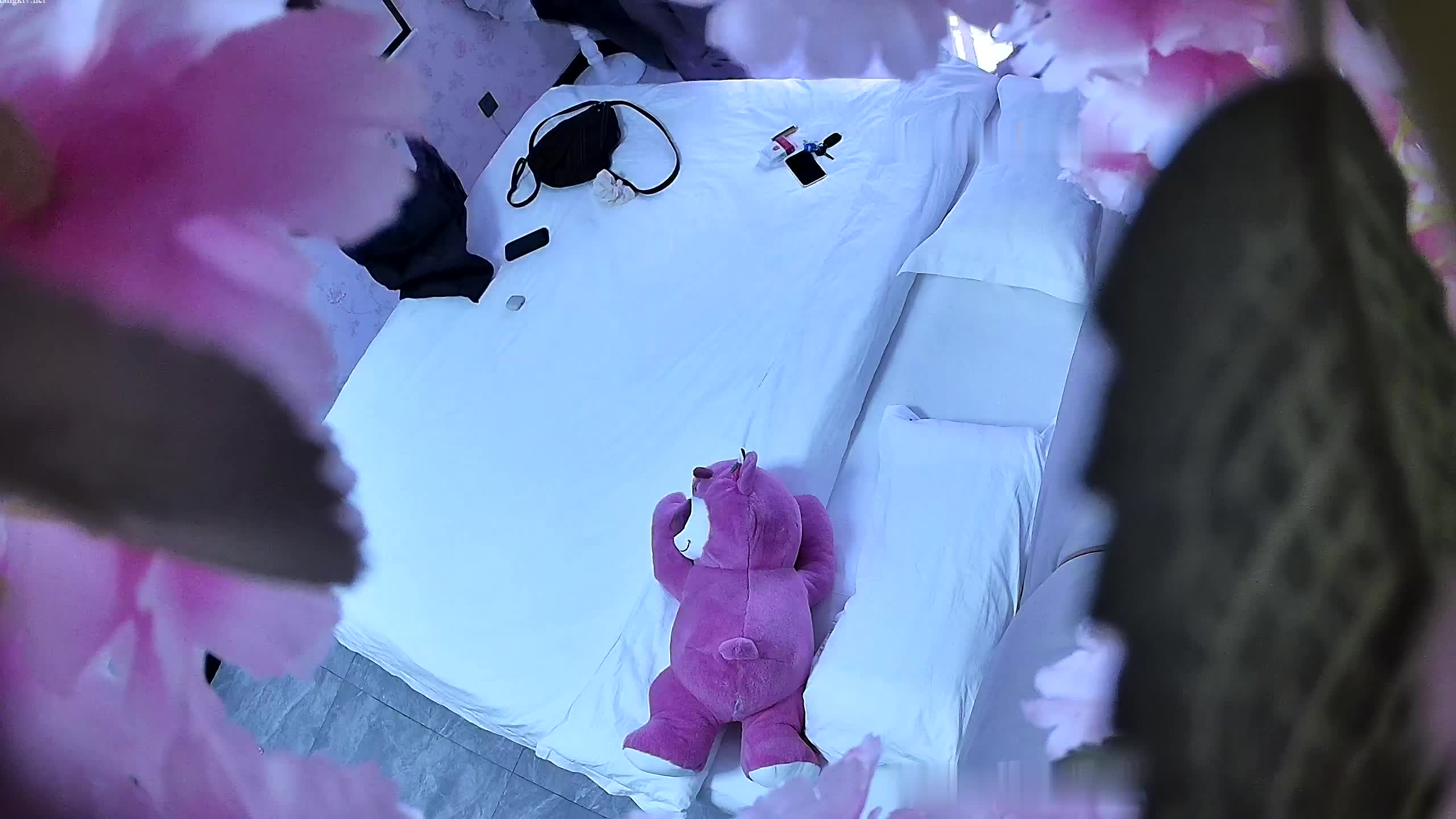 酒店偷拍 饥渴大学生情侣进门5分钟衣服都没脱干净直接开操 暴力抽插内射