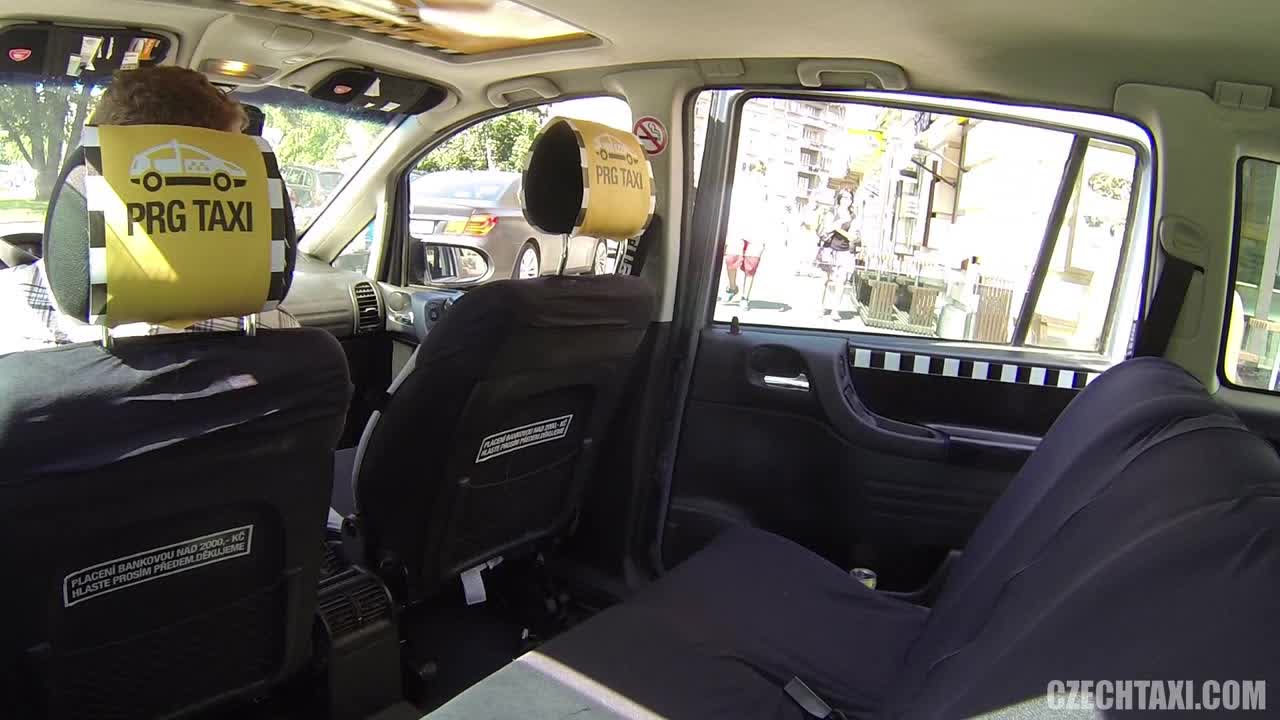 CzechTaxi 捷克车震系列二十三