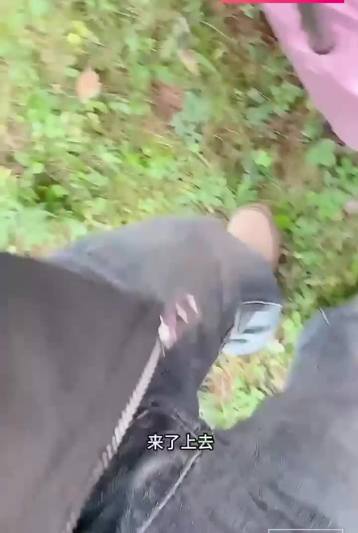 2048.vip-极品乱伦『小姨子的秘密』小姨子半路下车撒尿 下着大雨被姐夫按在路边树林里狂操 全身湿透又回车上继续干