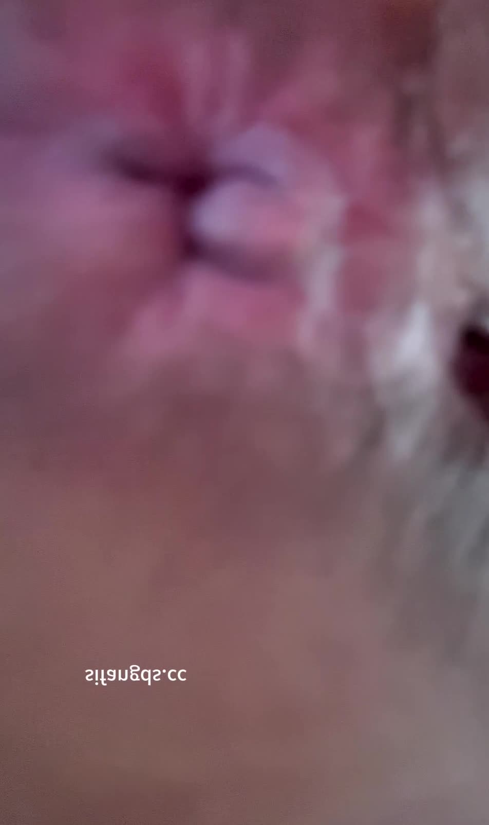 2048.vip-大神潜入商场女厕近距离偷窥几位美女嘘嘘 牛仔裤美女BB上挂着长长的白带