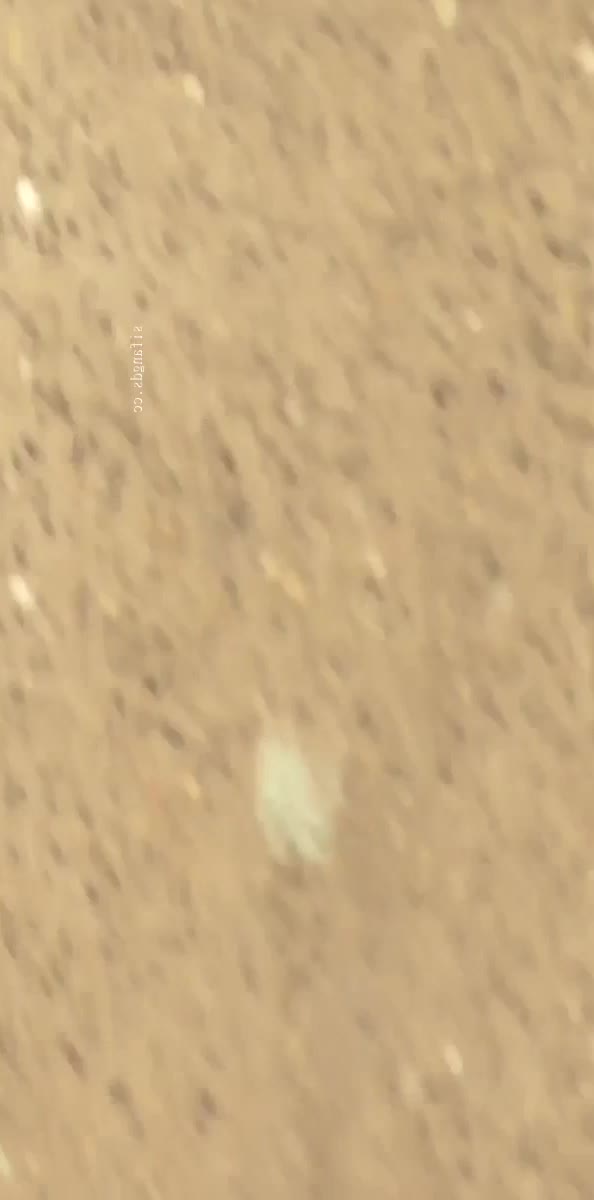 2048.vip-大神潜入路边公厕全景偷拍多位路人小姐姐 各种粉嫩的鲍鱼完美展示