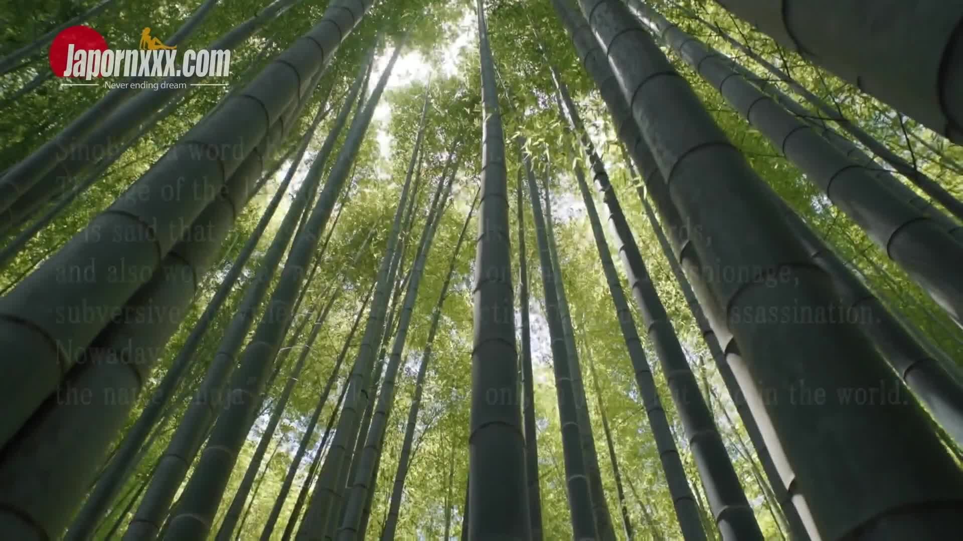 2048.hk@HimeMarieKunoichionmissionwithAnalFuckandCreampie-1