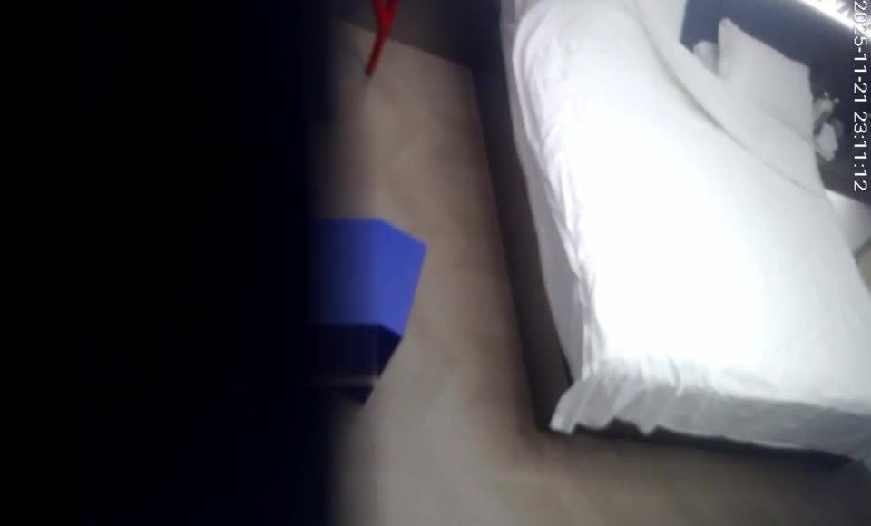 2048.vip-11-22流出酒店偷拍 少妇杀手小伙把少妇拉到床边舔逼热身六九各种姿势操个遍