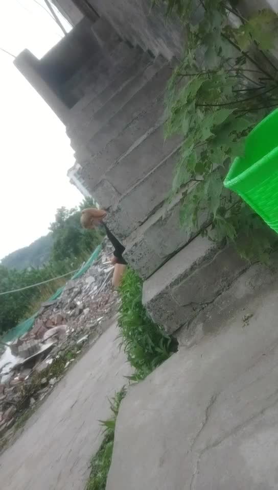 67478446_录屏党全家死绝_20220429_165848