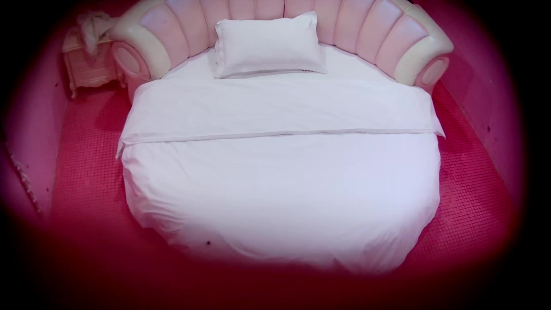 2048.vip-11-22流出酒店情趣圆床偷拍 马尾辫女孩刚进入房间就被男友扑倒啪啪内射