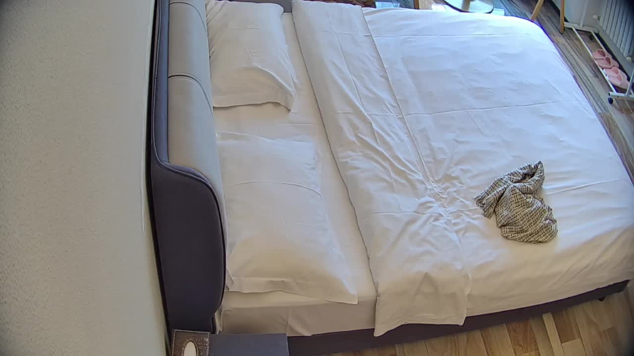 2048.vip-民宿酒店 12-11 很漂亮的美女被长毛怪给操了 进来先给跳蛋充上电 操逼之后 又让美女把跳蛋塞进逼里