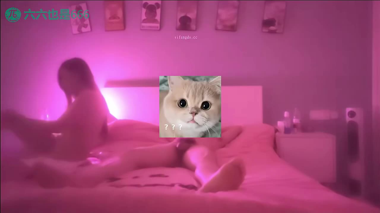 2048.hk@251117F【六六扫街探店2.0】楼凤选妃莞式服务，揭露神秘小粉屋