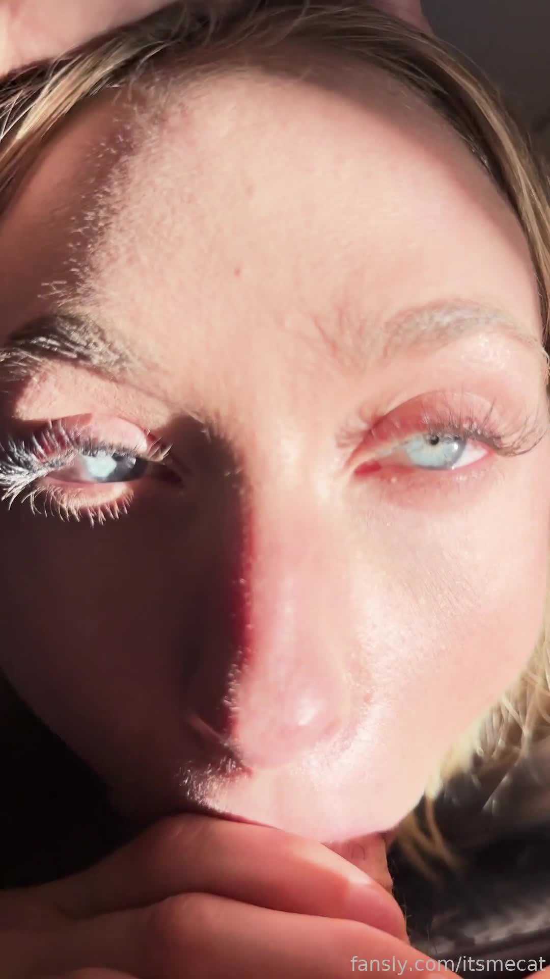 2048.hk@itsmecat (Coomer)_504392137257787392