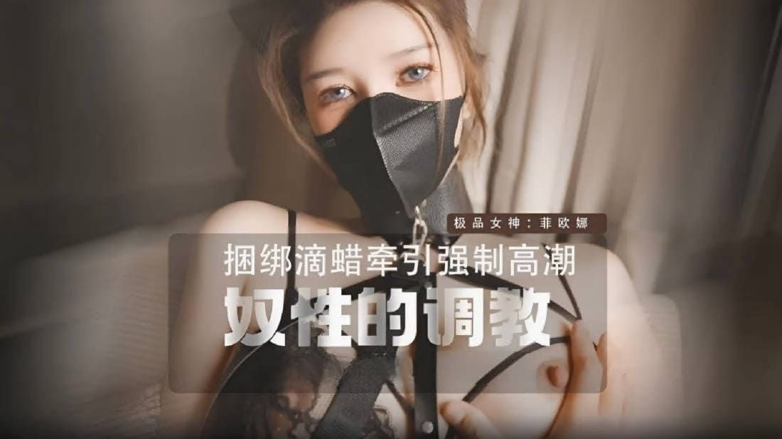 其他传媒，野猫性奴的调教