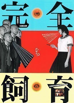 伦理片,三级片禁室培欲