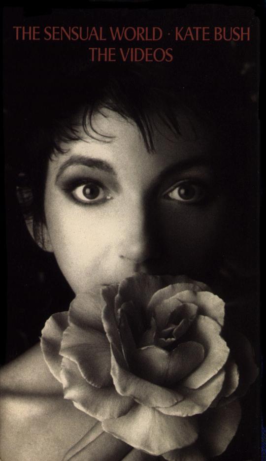 伦理片,三级片感官世界