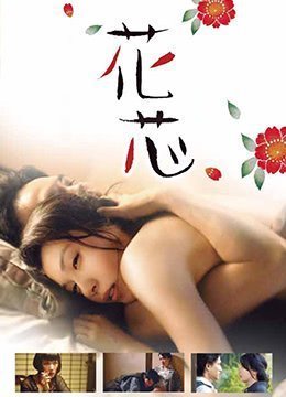 伦理片,三级片花芯