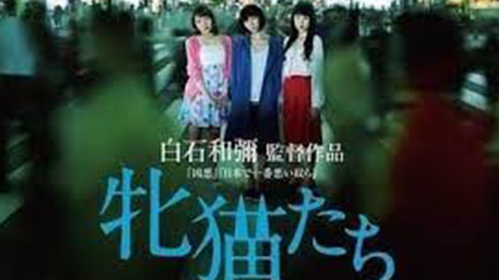 伦理片,三级片【日本】母猫 (2017)