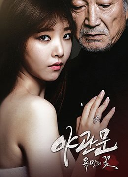 伦理片,三级片夜关门欲望之花DoorTonight2013HD720P韩语中字