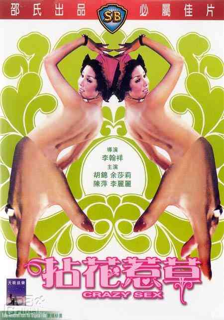 伦理片,三级片拈花惹草