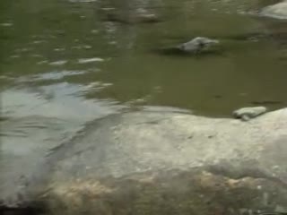 伦理片,三级片武则天外传【国语中字】EP02