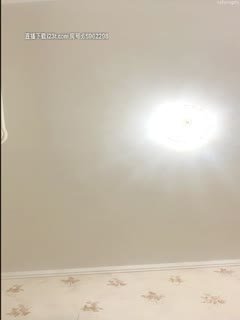 吃瓜,爆料小奶猫：坦克贝贝