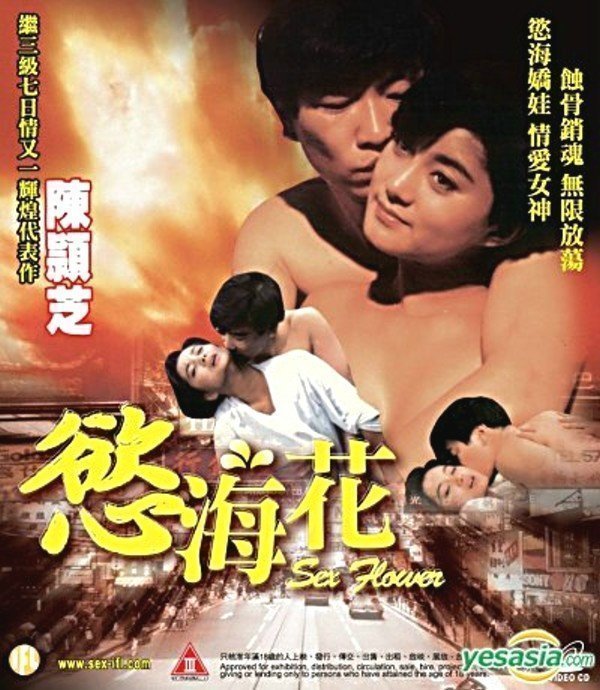 伦理片,三级片慾海花【粤语中字】