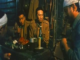 伦理片,三级片黑太陽731之死亡列車【国语中字】