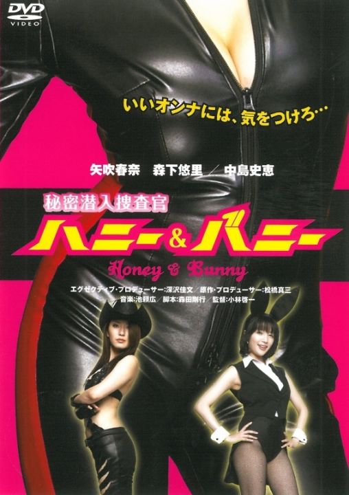 伦理片,三级片秘密潜入捜査官 ハニー＆バニー
