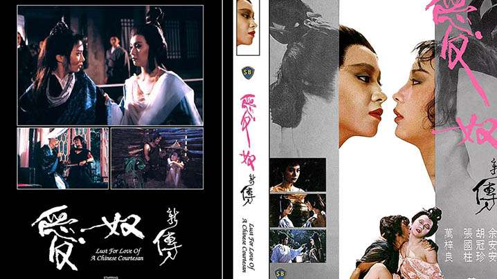 伦理片,三级片【香港】爱奴新传(1984)