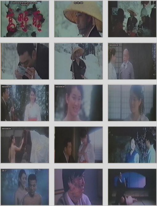 伦理片,三级片高野聖