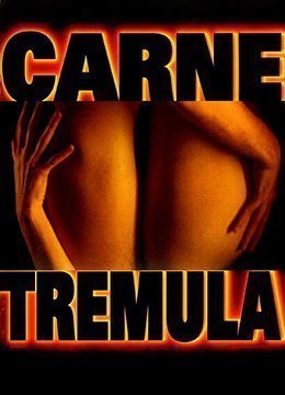 伦理片,三级片活色生香.Live Flesh.1997.ES.BluRay.1920x818p.x264.AC3-KOOK.[中英字幕]