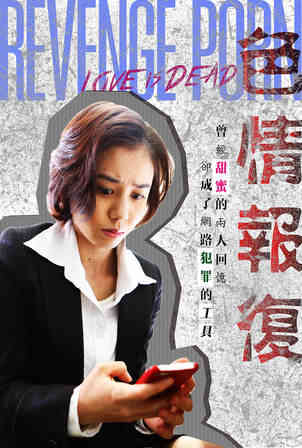 伦理片,三级片色情報復